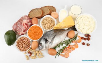 Protein İçeren Yiyecekler