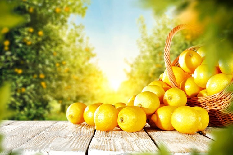 limon-saglik Limon ve Limon Kabuğunun Faydaları Nelerdir? 
